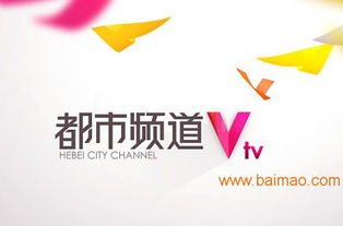 海王廣告 專業(yè)鑄就卓越，精準(zhǔn)賦能河北電視臺廣告優(yōu)勢發(fā)布